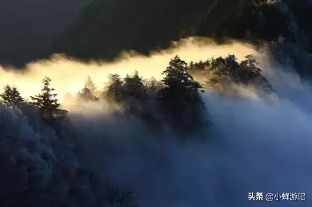 登高远眺祈福来年，神农架-神农顶“原始、生态、神奇、神秘”