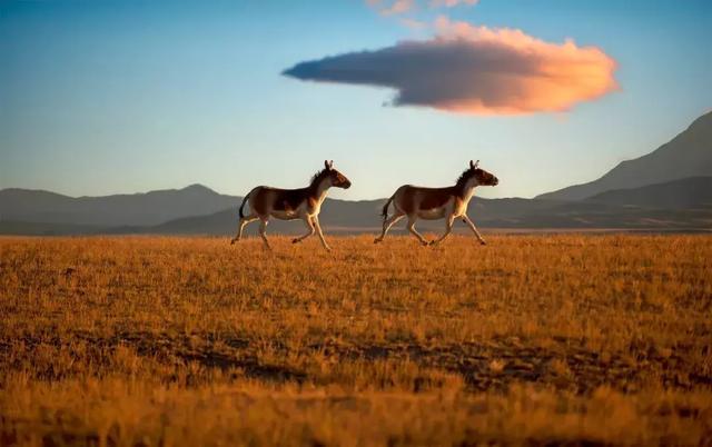 去过，才知道什么是真正的西藏