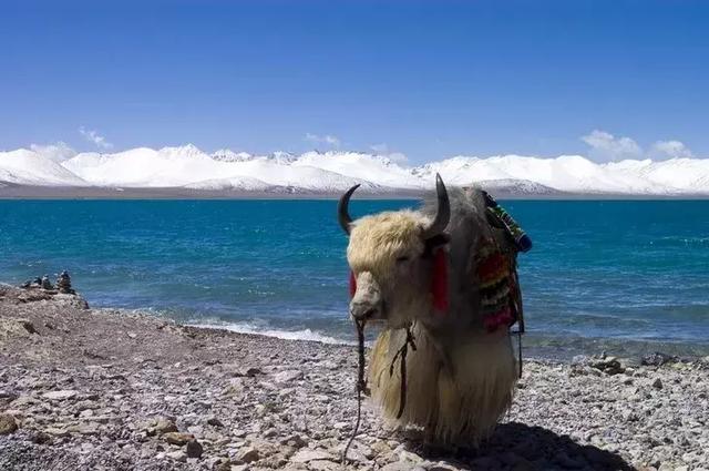 去过，才知道什么是真正的西藏