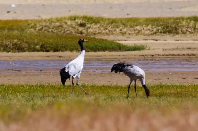 去过，才知道什么是真正的西藏