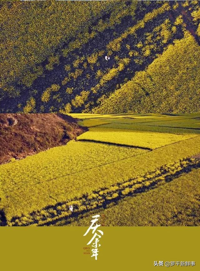 罗平油菜花海、九龙瀑布在热播剧《庆余年》中惊艳亮相，太美了