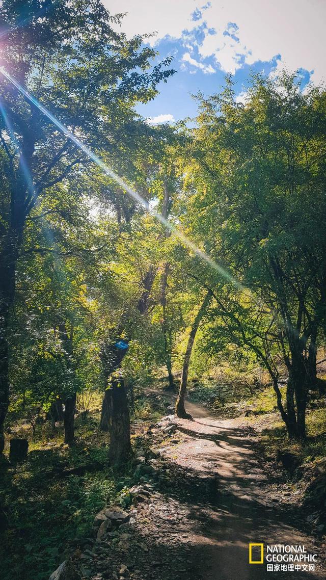 转山雨崩村，眼在天堂，腿在地狱