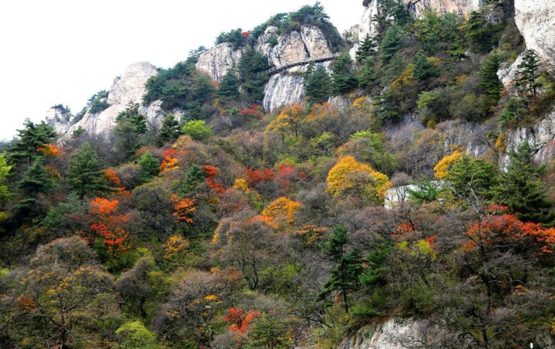河南最接近仙境的地方，老君山云海平均每年多达130天