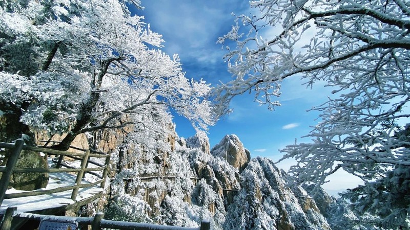 河南最接近仙境的地方，老君山云海平均每年多达130天