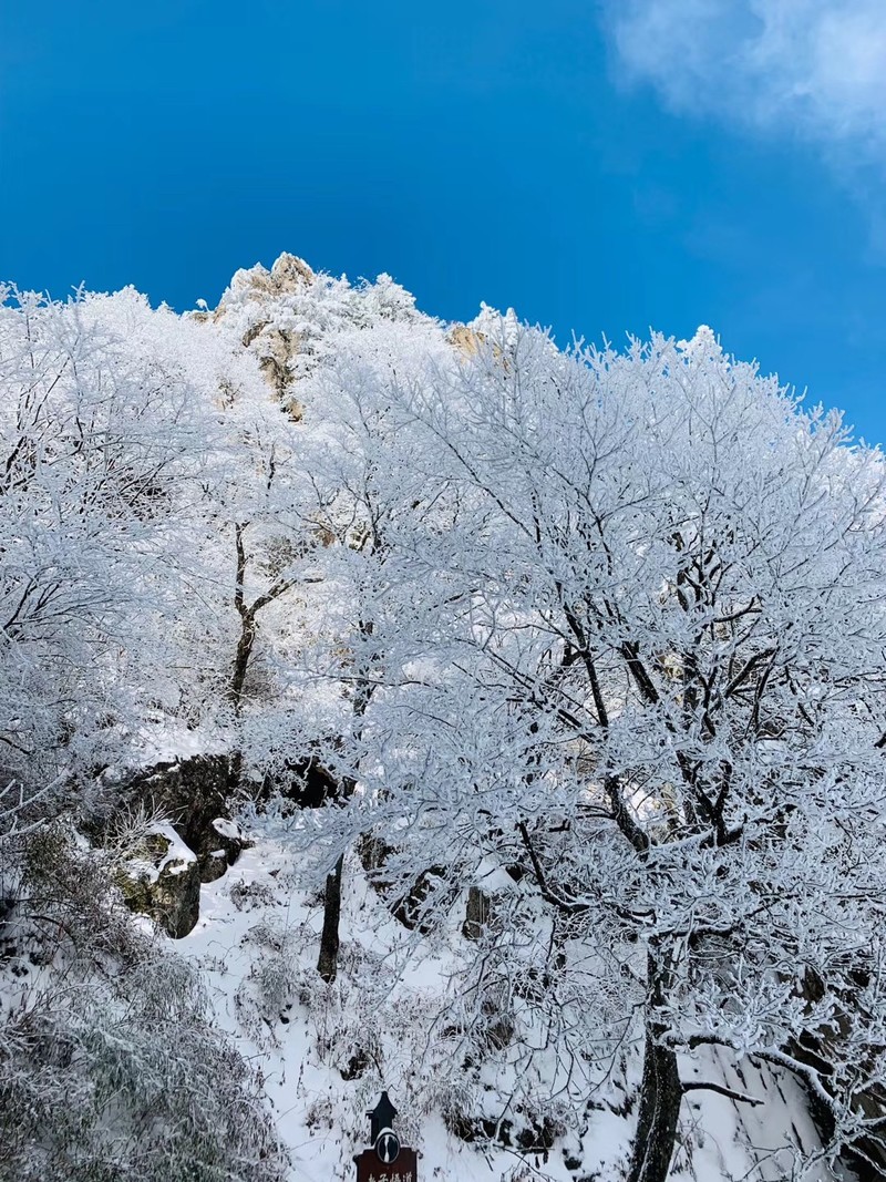 河南最接近仙境的地方，老君山云海平均每年多达130天