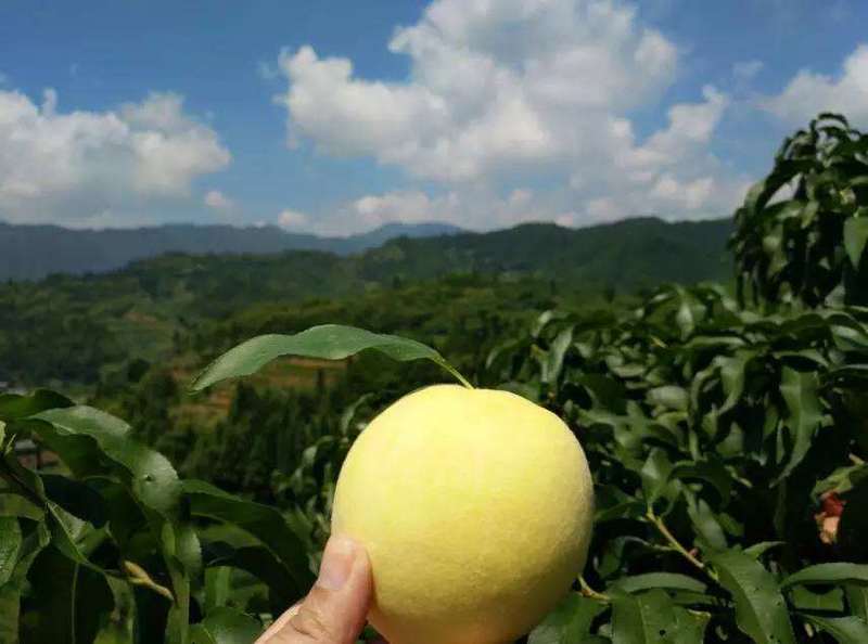 湖南的人间仙境，郴州旅游最全攻略，必去打卡点推荐