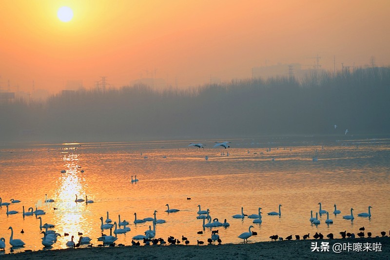 三门峡私藏着中国最古老的回音建筑，是最美天鹅之城，适合自由行