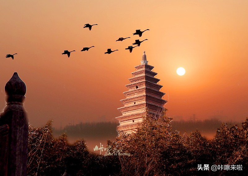 三门峡私藏着中国最古老的回音建筑，是最美天鹅之城，适合自由行