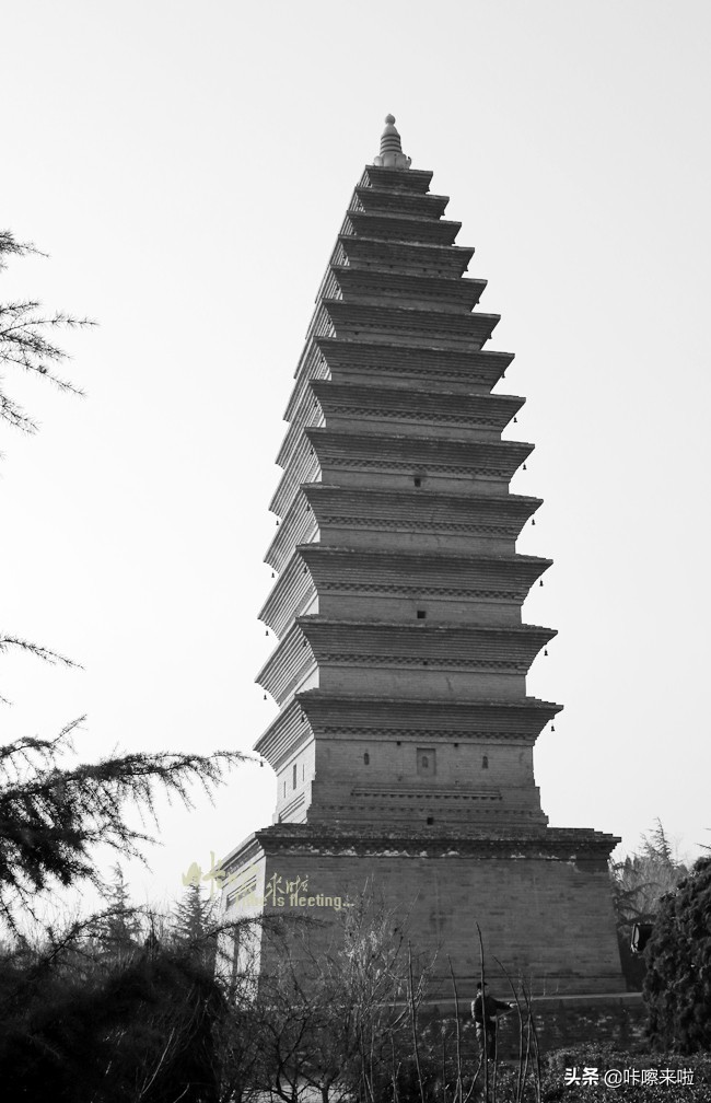 三门峡私藏着中国最古老的回音建筑，是最美天鹅之城，适合自由行