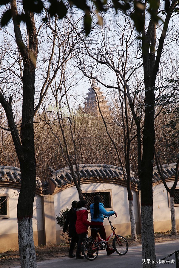 三门峡私藏着中国最古老的回音建筑，是最美天鹅之城，适合自由行