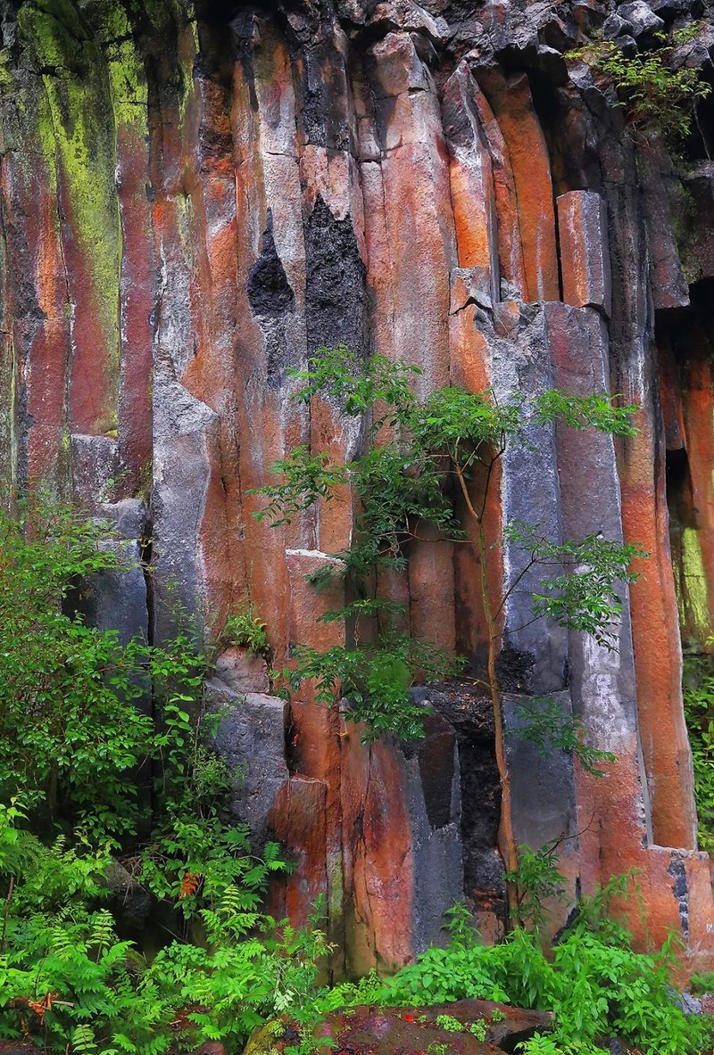 长白山原来这么“神”