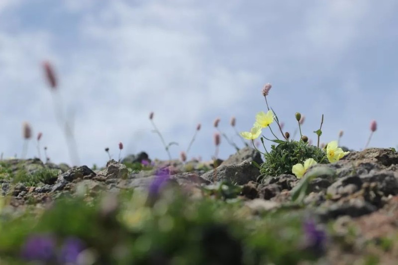 长白山原来这么“神”