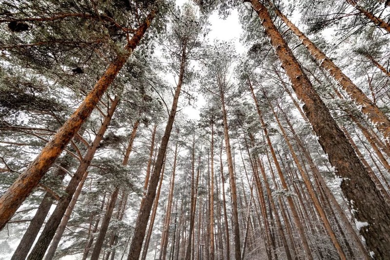 长白山原来这么“神”
