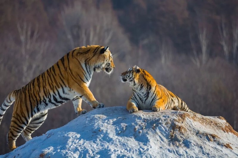 长白山原来这么“神”