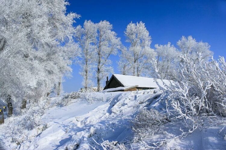 网上疯传的吉林雾凇岛，真的有那么美吗？