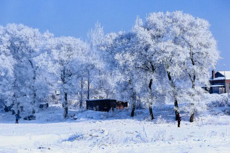 网上疯传的吉林雾凇岛，真的有那么美吗？
