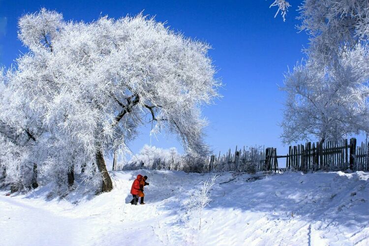 网上疯传的吉林雾凇岛，真的有那么美吗？