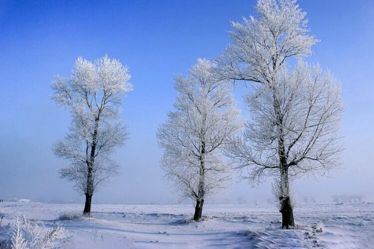 网上疯传的吉林雾凇岛，真的有那么美吗？