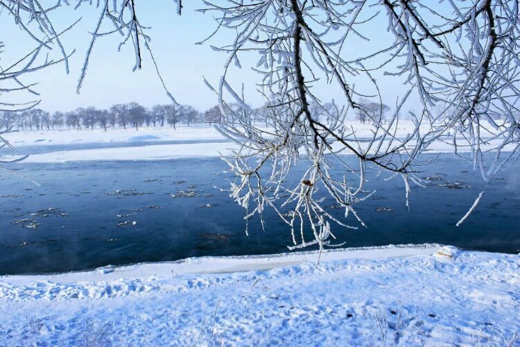 网上疯传的吉林雾凇岛，真的有那么美吗？