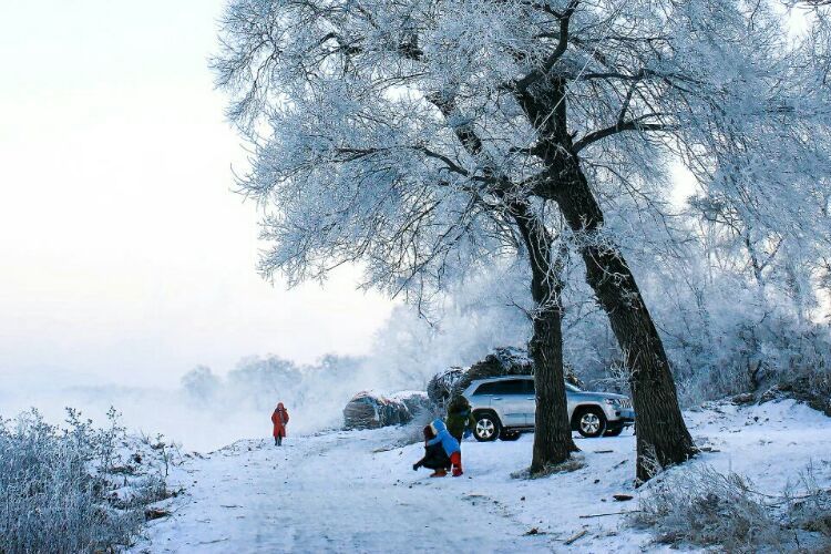 网上疯传的吉林雾凇岛，真的有那么美吗？