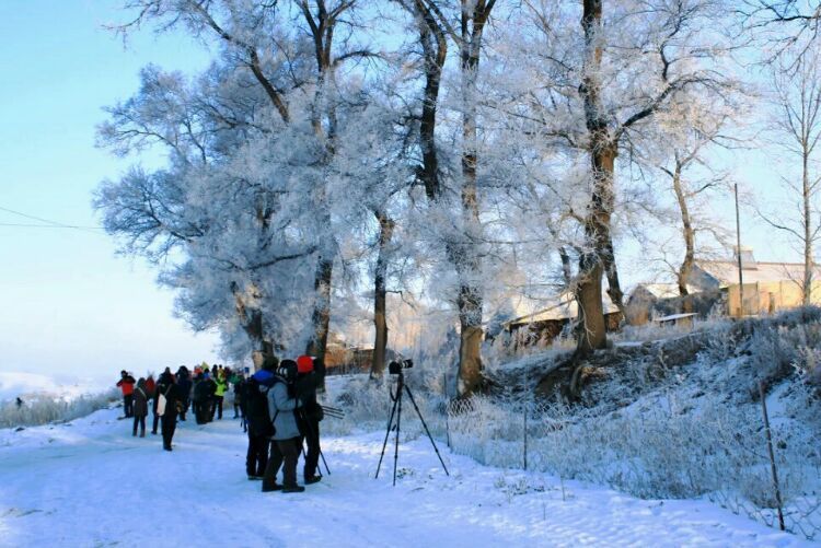 网上疯传的吉林雾凇岛，真的有那么美吗？