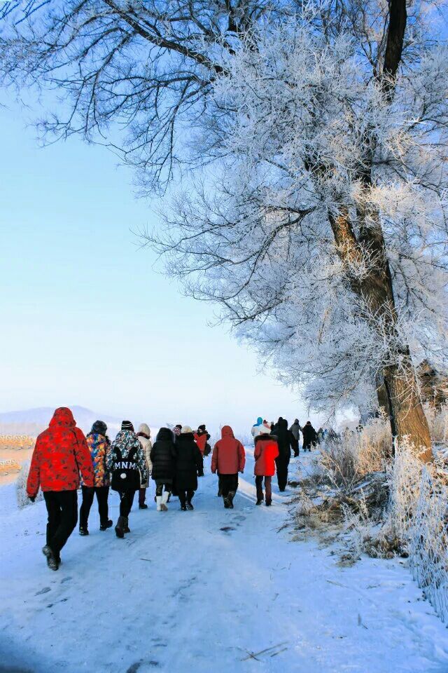 网上疯传的吉林雾凇岛，真的有那么美吗？
