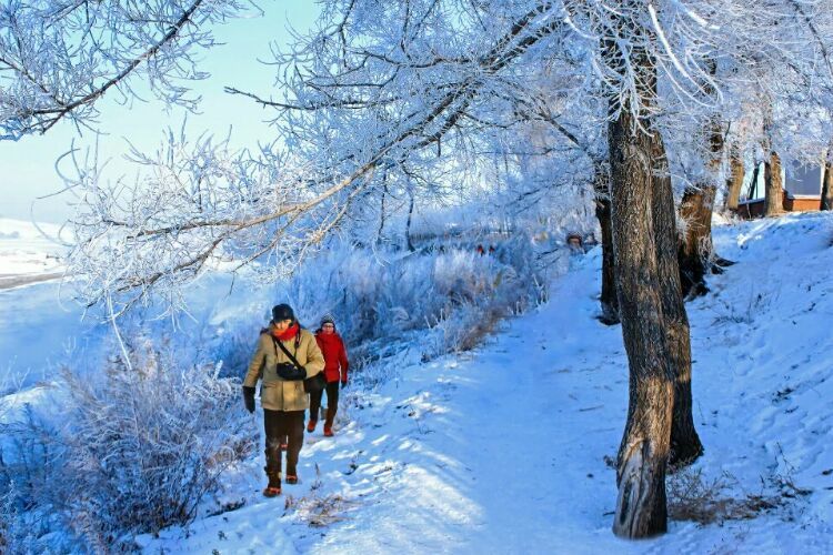 网上疯传的吉林雾凇岛，真的有那么美吗？