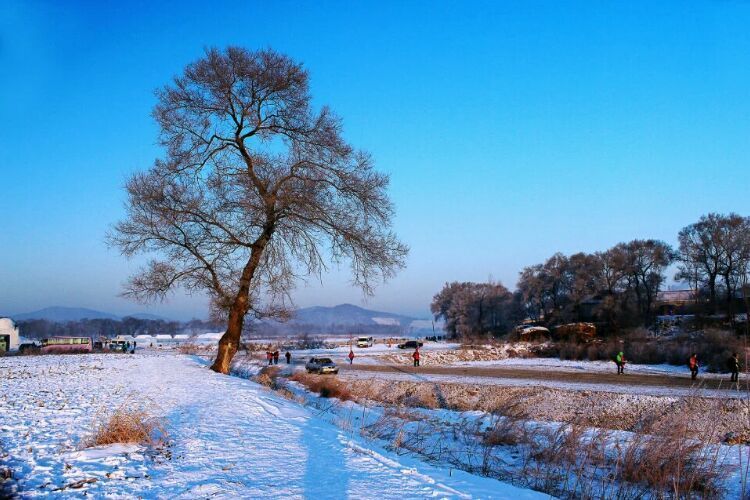 网上疯传的吉林雾凇岛，真的有那么美吗？