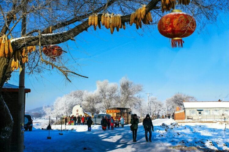 网上疯传的吉林雾凇岛，真的有那么美吗？