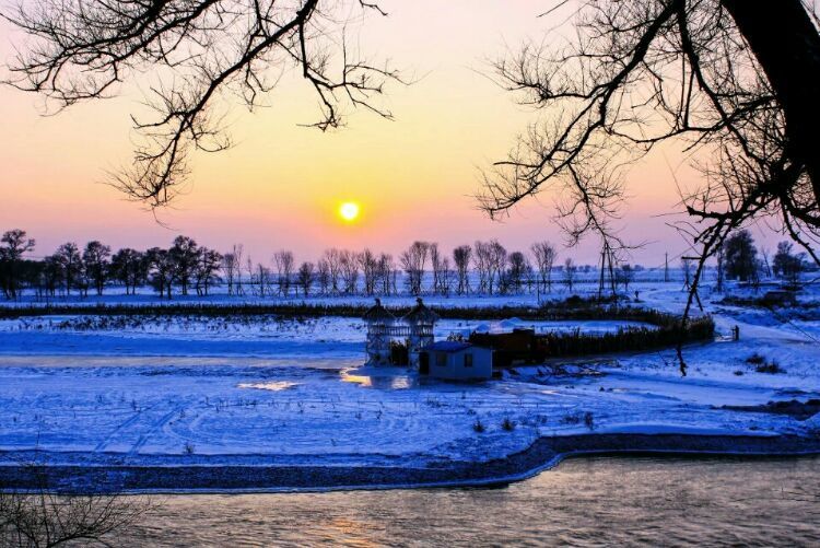 网上疯传的吉林雾凇岛，真的有那么美吗？