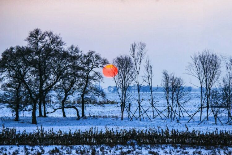 网上疯传的吉林雾凇岛，真的有那么美吗？