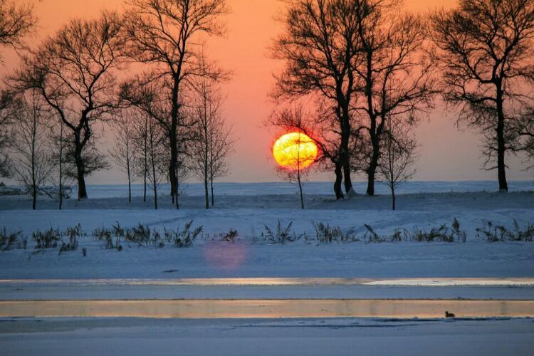 网上疯传的吉林雾凇岛，真的有那么美吗？