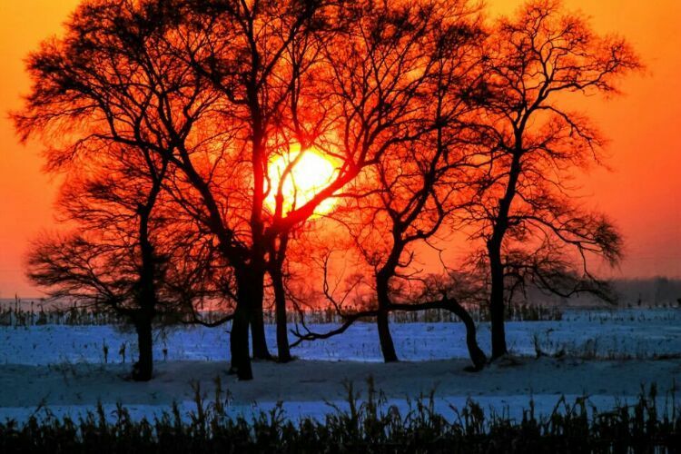 网上疯传的吉林雾凇岛，真的有那么美吗？