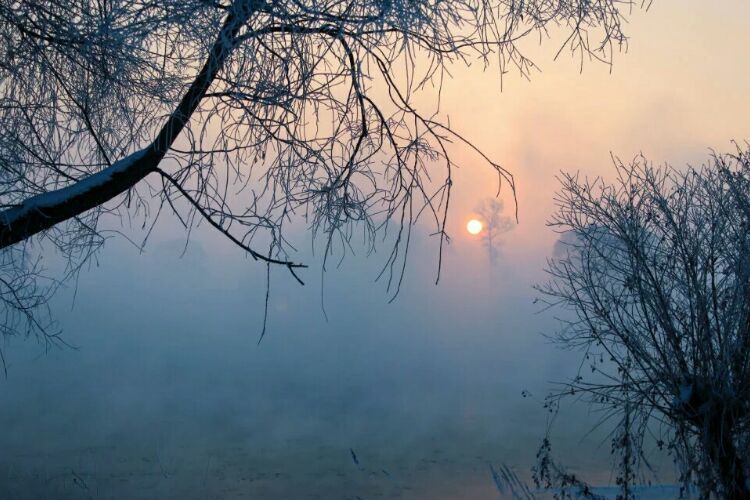 网上疯传的吉林雾凇岛，真的有那么美吗？