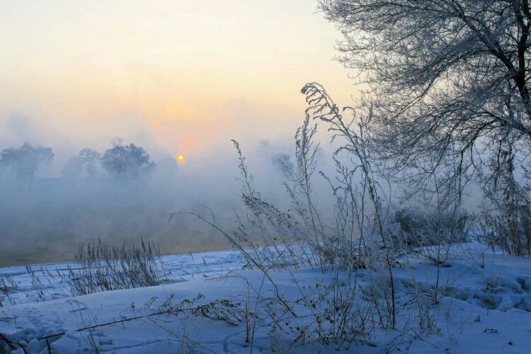 网上疯传的吉林雾凇岛，真的有那么美吗？