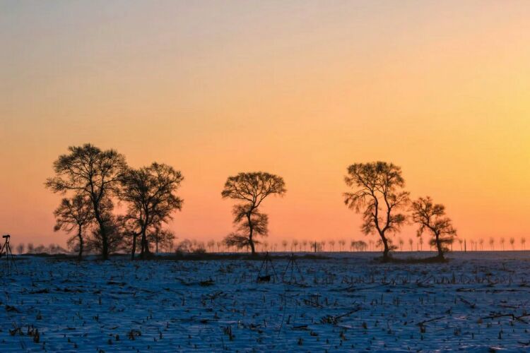 网上疯传的吉林雾凇岛，真的有那么美吗？