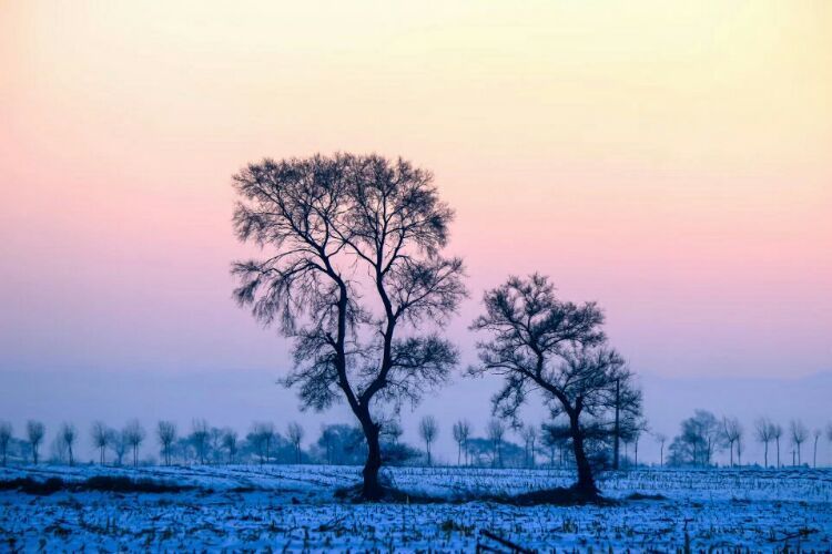 网上疯传的吉林雾凇岛，真的有那么美吗？