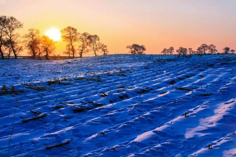 网上疯传的吉林雾凇岛，真的有那么美吗？