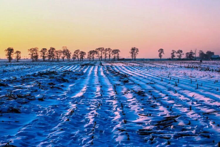 网上疯传的吉林雾凇岛，真的有那么美吗？