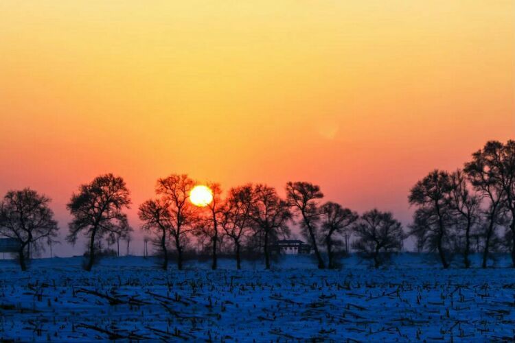 网上疯传的吉林雾凇岛，真的有那么美吗？
