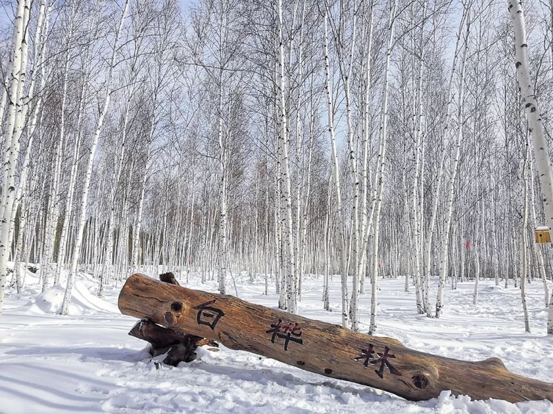 哈哈哈，千万别去漠河，别怪我没提醒你