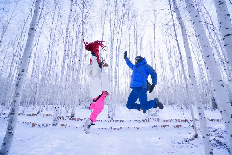 南方人的漠河5日之旅丨喂驯鹿、逛边城，去极北之北追一次极光
