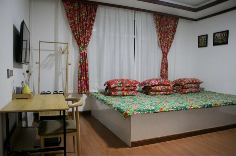 南方人的漠河5日之旅丨喂驯鹿、逛边城，去极北之北追一次极光