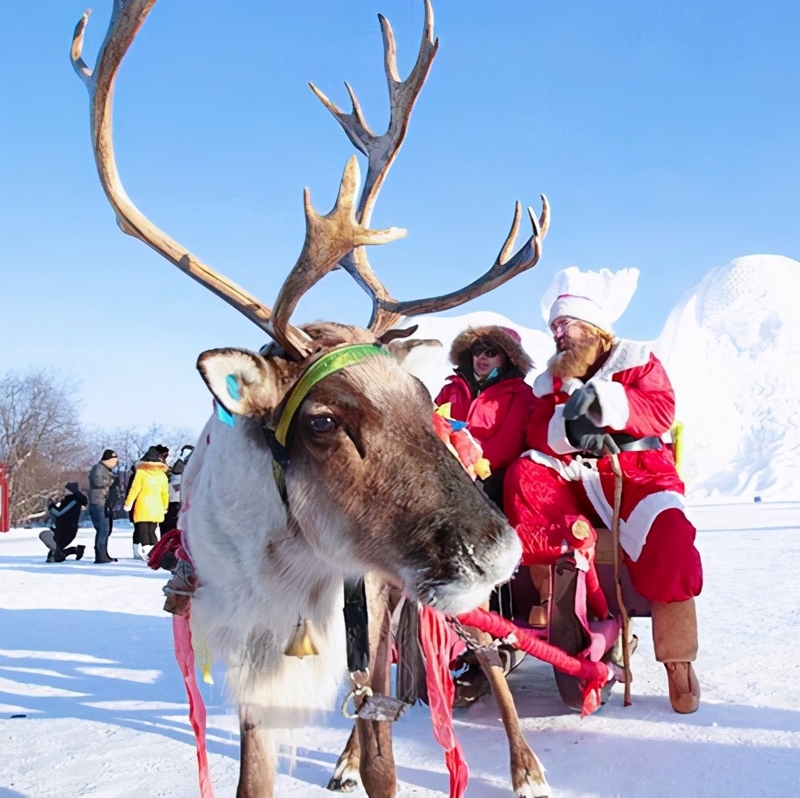 南方人的漠河5日之旅丨喂驯鹿、逛边城，去极北之北追一次极光