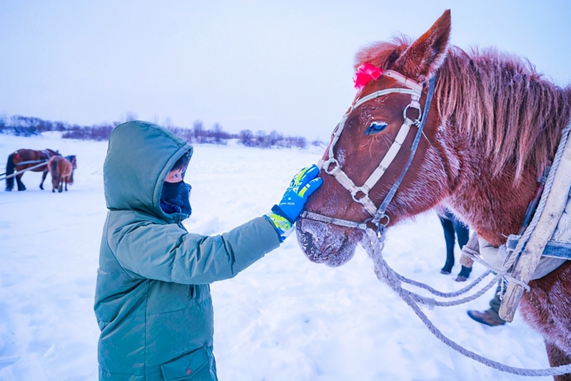 南方人的漠河5日之旅丨喂驯鹿、逛边城，去极北之北追一次极光