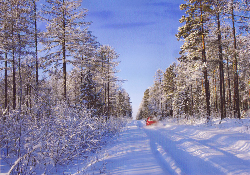 南方人的漠河5日之旅丨喂驯鹿、逛边城，去极北之北追一次极光