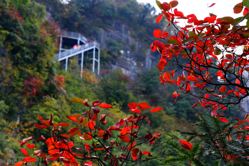 寻觅宜昌最美的秋色—秋遇柴埠溪