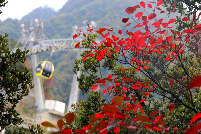 寻觅宜昌最美的秋色—秋遇柴埠溪