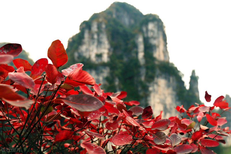 寻觅宜昌最美的秋色—秋遇柴埠溪