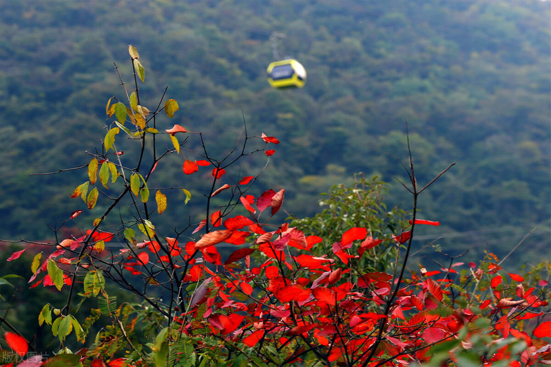 寻觅宜昌最美的秋色—秋遇柴埠溪